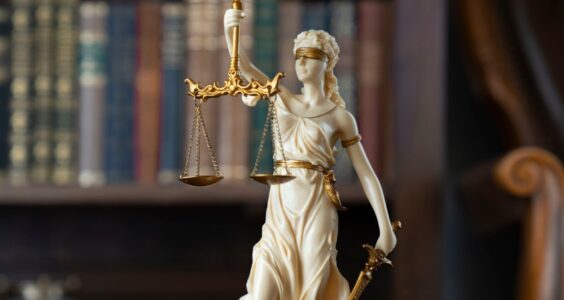 Afbeelding voor ‘Het recht wordt langzamerhand iets voor mensen met een missie en een portemonnee’