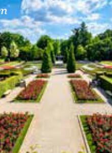 Afbeelding voor In bloei