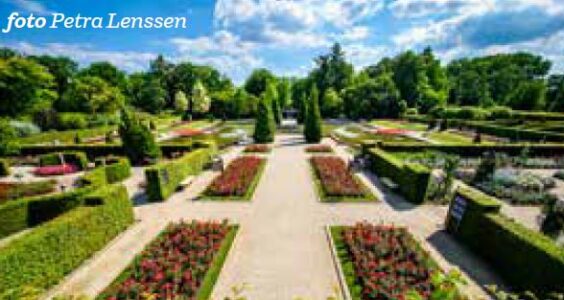 Afbeelding voor In bloei