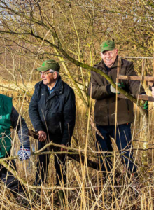 Afbeelding voor Verliefd op het veen