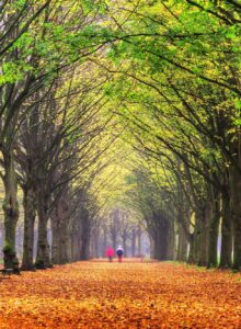 Afbeelding voor Landleven Winter