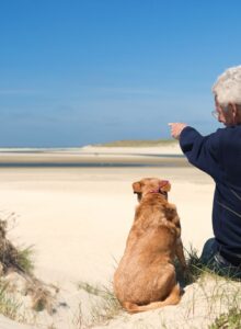 Afbeelding voor Een maatje te leen