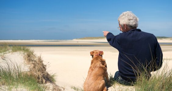 Afbeelding voor Een maatje te leen