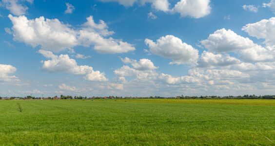 Afbeelding voor Altijd indrukwekkend: hunebedden