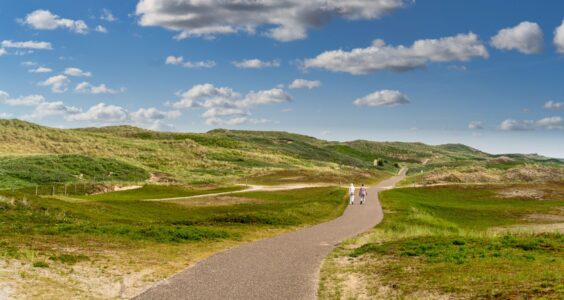 Afbeelding voor Nationaal Park Lauwersmeer