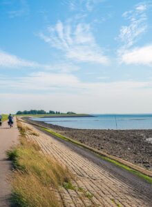 Afbeelding voor Podcast Radio Danspaleis