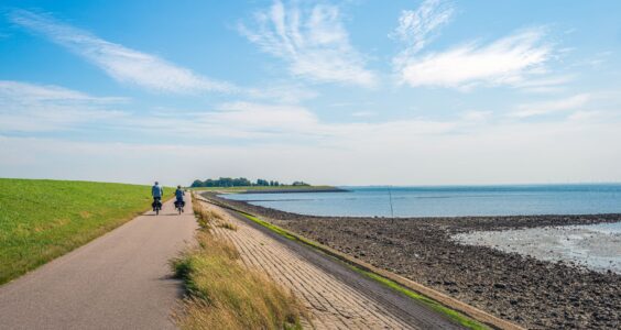 Afbeelding voor Podcast Radio Danspaleis