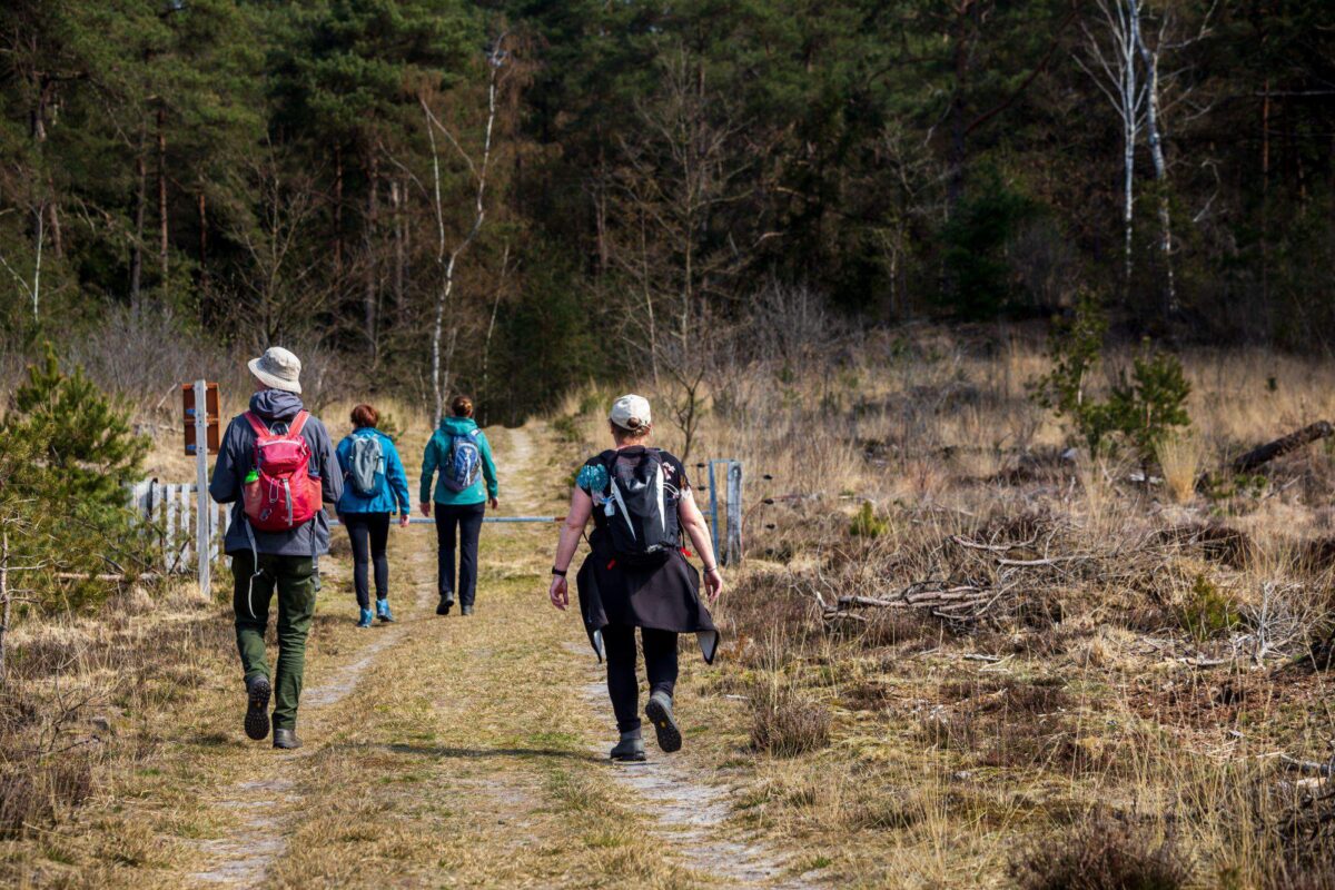 Afbeelding shutterstock_2119036562 wandelen veluwe natuur