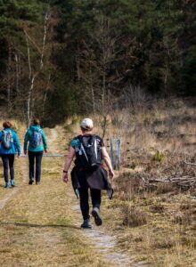 Afbeelding voor Routes van de Oostvaardersplassen