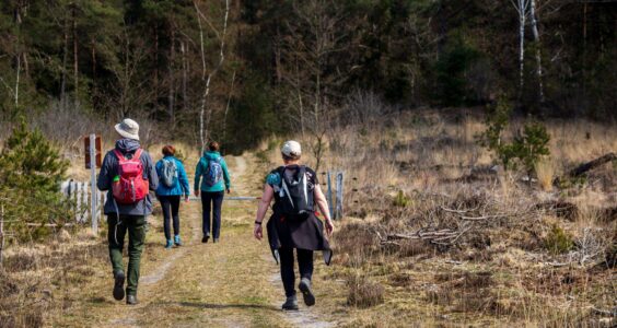 Afbeelding voor Routes van de Oostvaardersplassen