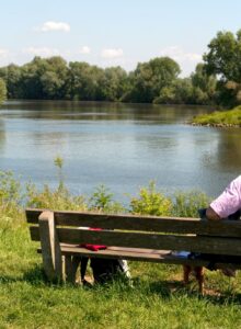 Afbeelding voor ‘Ook bij de 50-plussers zijn er mensen die klaar zijn met het swipen’