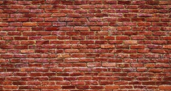 Afbeelding voor ‘Mijn kinderen zijn druk. Maar ik begrijp dat’