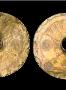 Afbeelding voor Afrikaanse sieraden in Missiemuseum Steyl