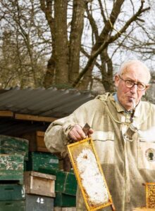 Afbeelding voor ‘Bijen moet je altijd aan het werk houden’