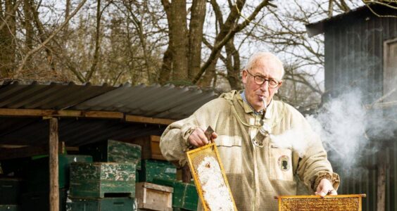 Afbeelding voor ‘Bijen moet je altijd aan het werk houden’
