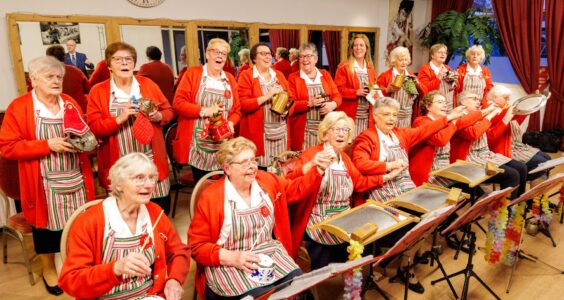 Afbeelding voor Muziek met keukengerei