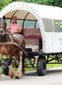Afbeelding voor Op ontdekking in de Veluwe