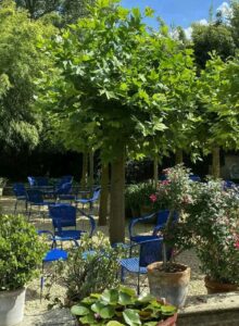 Afbeelding voor Genieten in exotische natuur