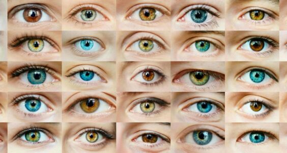 Afbeelding voor Oogaandoeningen: wat zijn het en wat moet u doen?