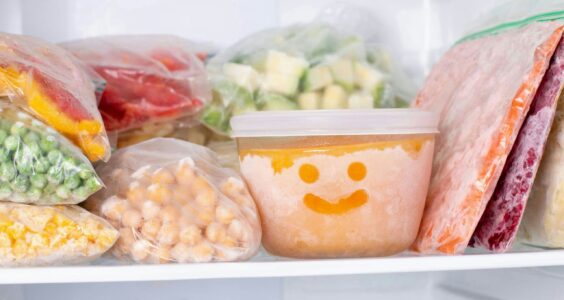 Afbeelding voor Aannames de ijskast in