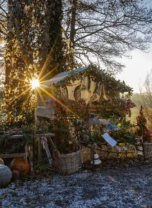 Afbeelding voor Kerst in de natuur