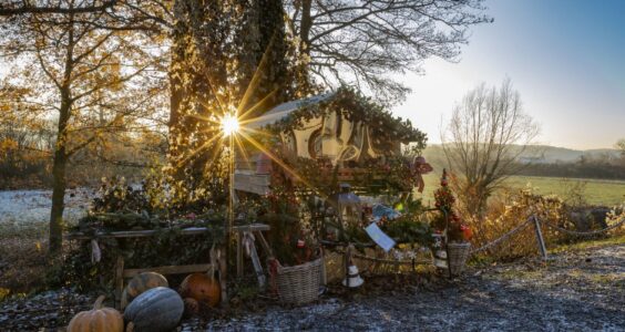 Afbeelding voor Kerst in de natuur