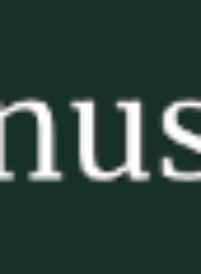 Afbeelding voor Stichting Martinuskerk Bussloo