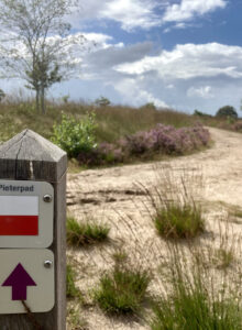 Afbeelding voor Gevlochten heggen