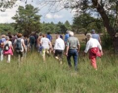 Afbeelding voor Maandelijkse groepsrondleiding – Gratis