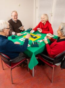 Afbeelding voor Bridge in Soest