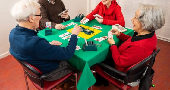 Afbeelding voor Bridge in Soest