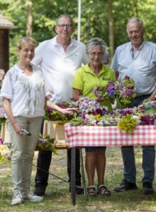Afbeelding voor Sint-janstrossen maken