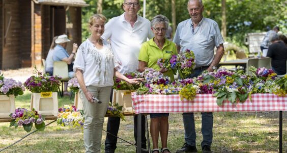Afbeelding voor Sint-janstrossen maken