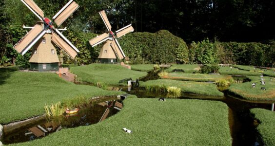 Afbeelding voor Nederlands landschap