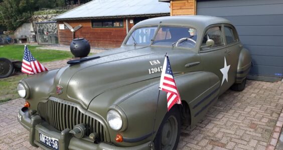 Afbeelding voor Timberwolves