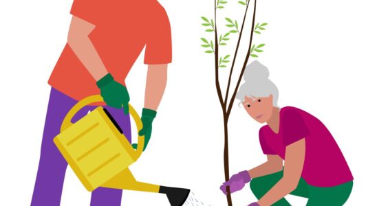 Afbeelding voor Algemene voorziening of maatwerkvoorziening: een dunne scheidslijn