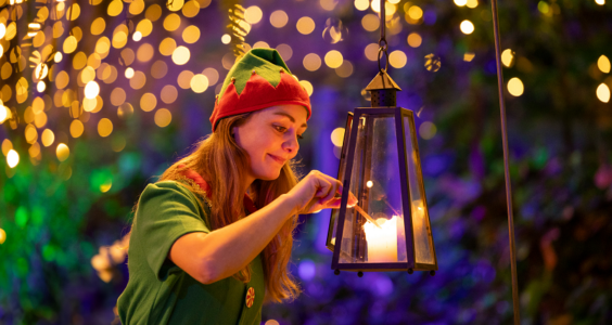 Afbeelding voor Winterdroom in Pantropica