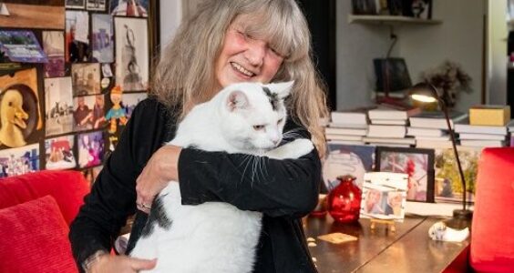 Afbeelding voor Gezellige beestenboel