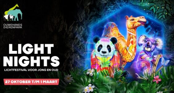 Afbeelding voor Een magisch verlicht avontuur