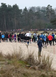 Afbeelding voor Een lang lint van prestatielopers trekt door het duinlandschap van Soest
