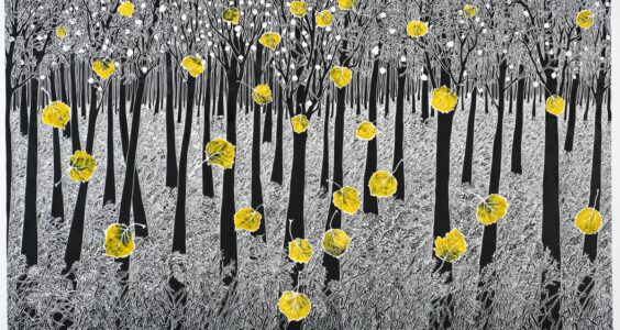 Afbeelding voor Drukwerk met diepgang