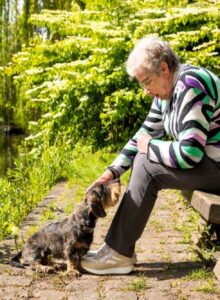 Afbeelding voor Gelukkig en gezond met een oppashond