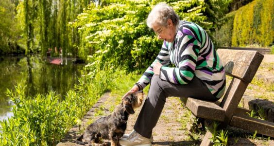 Afbeelding voor Gelukkig en gezond met een oppashond