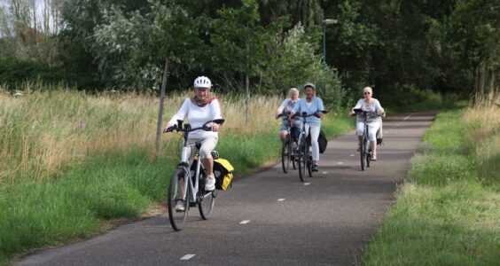 Afbeelding voor Rooi