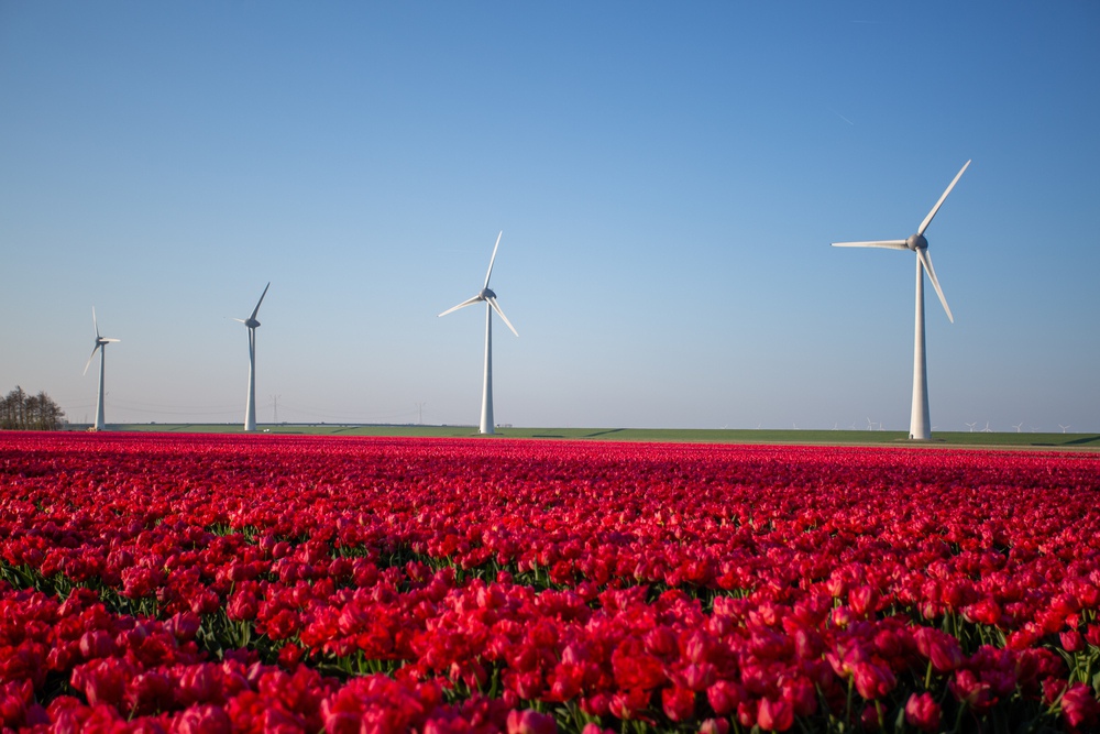 Naderende Zomer In Flevoland ONS Magazine