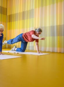 Afbeelding voor Internationale aandacht voor Vitaliteitsdag