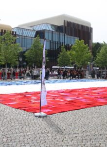 Afbeelding voor Wol verbindt