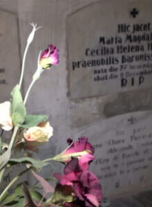 Afbeelding voor Een prachtig verhaal met een cadeau voor Baarlo: de Baronesse d’Erp