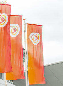 Afbeelding voor Hoe vraagt u een KBO-lidmaatschapvergoeding bij CZ aan?