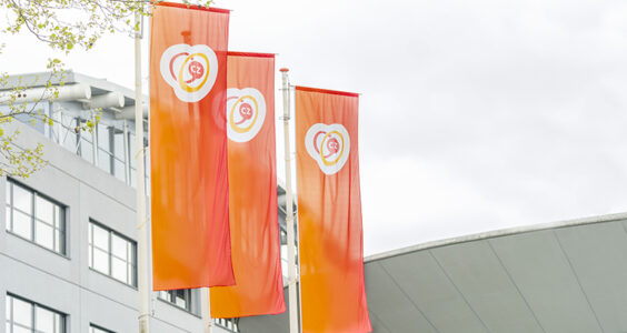 Afbeelding voor Hoe vraagt u een KBO-lidmaatschapvergoeding bij CZ aan?